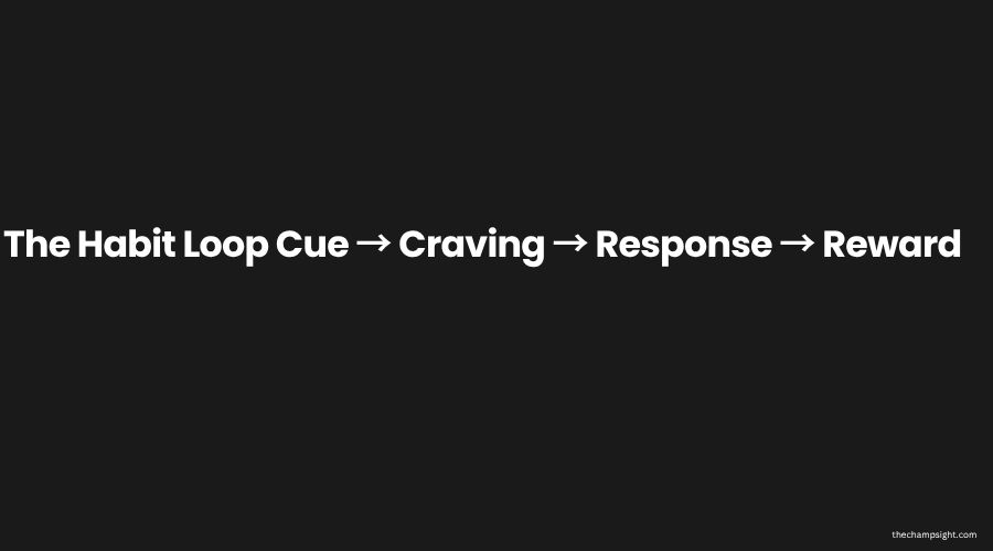 Infographic showing the habit loop — cue craving response reward — the science behind building habits