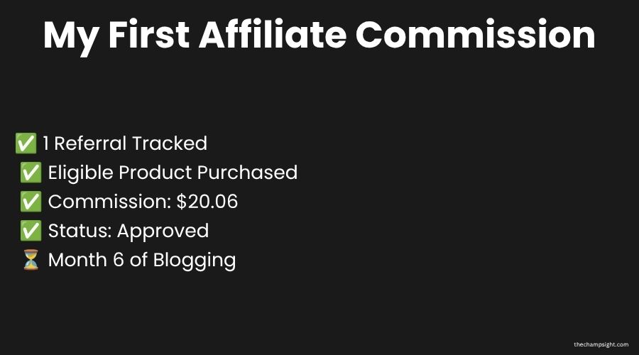 How I Made My First Affiliate Commission After 6 Months of Blogging "Infographic showing first affiliate commission of $20.06 from Hostinger after 6 months of blogging
